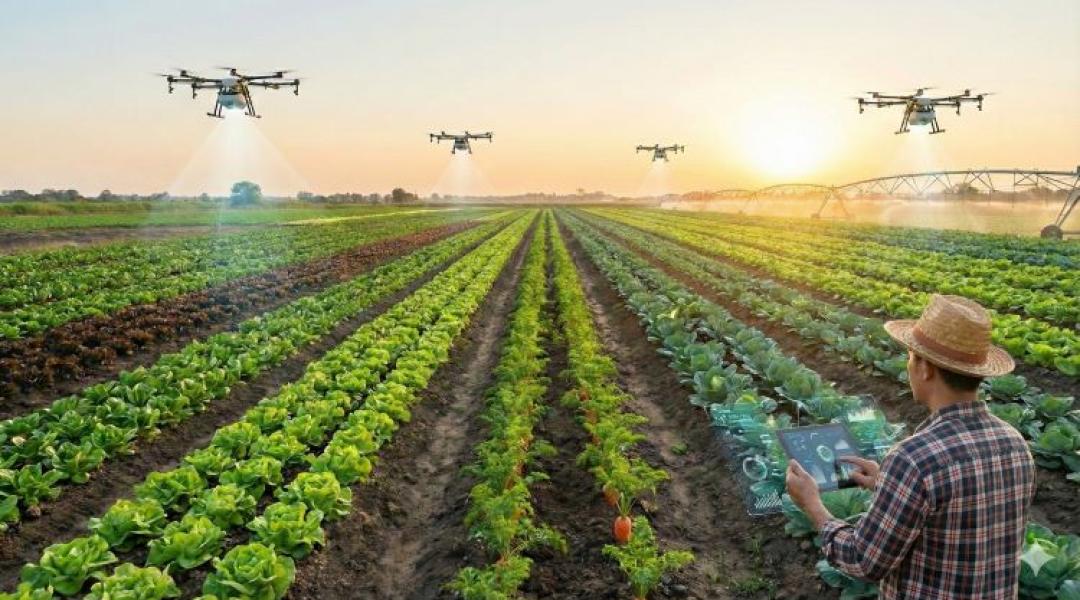 PREGA 2026: pénzt hoz-e a precíziós zöldségtermesztés?