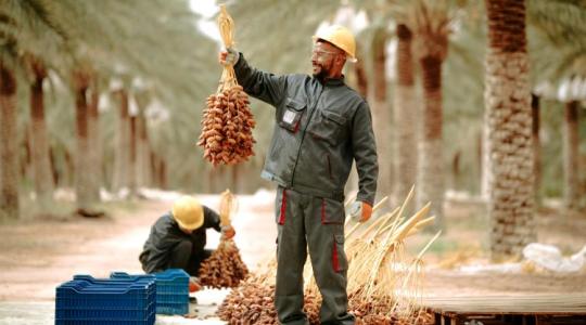 High-tech a sivatagban: Mit kellene megtanulnunk Szaúd-Arábiától?