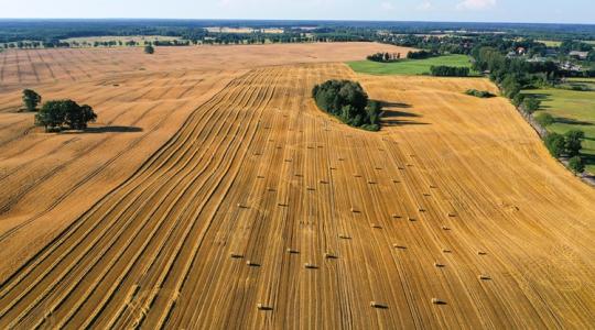 Illetékcsapda: így válhat a 0 forintból 8 százalékos büntetés földvásárláskor
