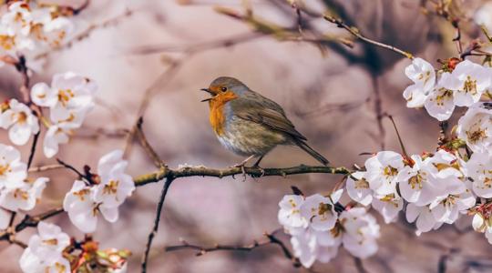 Időjárás: Zápor vagy napsütés - mutatjuk, meddig tart a kegyes idő