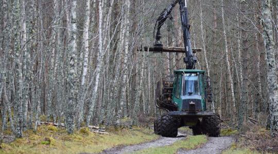 Módosult az erdészeti gép-pályázat: Így változtak a traktorbeszerzés és a támogatási keret szabályai