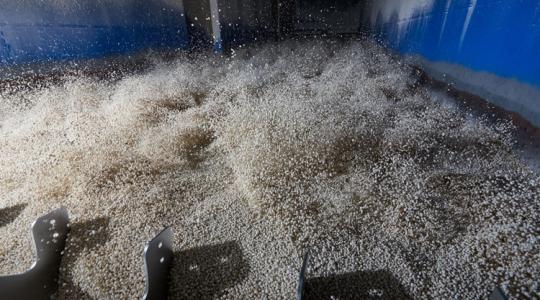 Bukik a magyar különadó, megvédte a Nitrogénműveket és a MOL-t az EU