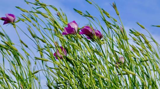 Időjárás: Erre a két dologra nagyon figyelj pénteken!