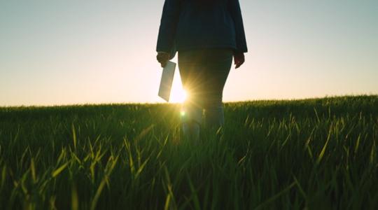 Adózó bérleti díj, fizetős földhivatal és hasonló kérdések: megszólal a szakértő