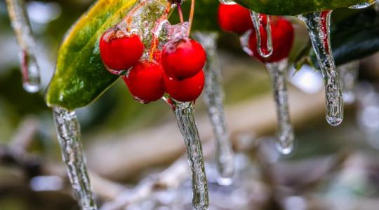 Ónos eső a földeken: mikor véd, mikor okoz kárt?