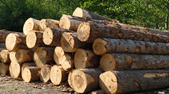 Vihar előtti csend a fapiacon