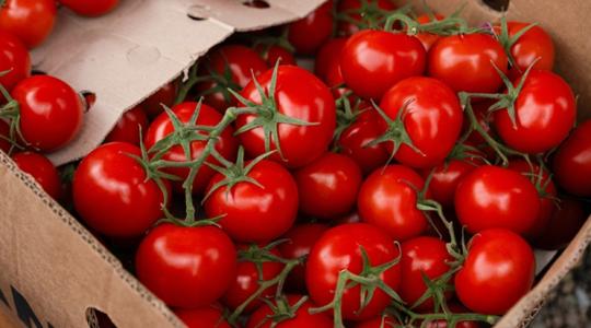 Letarolja Európát a török paradicsom; ez az oka