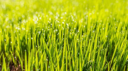 Időjárás: Vigyázat, megint 0 fok közelébe hűl a levegő