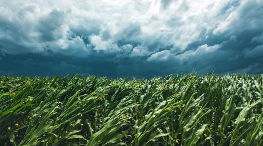 Csak egy X, de milliókat érhet – Gazda-tipp az idei támogatásokhoz 