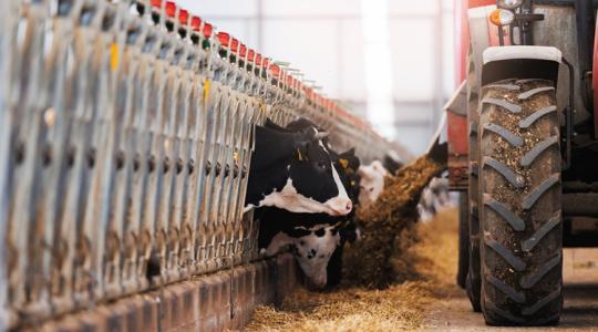 Európa az élen: rájöttünk a titkos receptre?