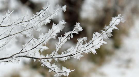 Ismét a természet az úr: lehet, hogy mindent elvitt az áprilisi fagy?