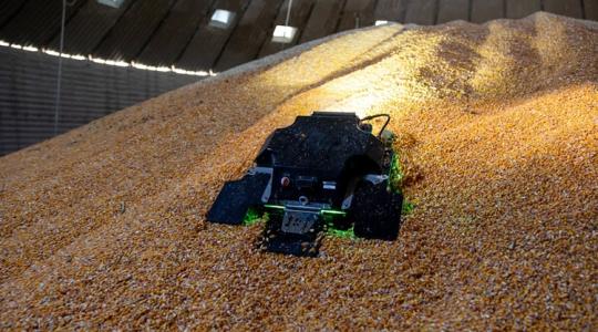 Halálos csapda a silóban: ez a robot mentheti meg a gazdákat a gabonafulladástól