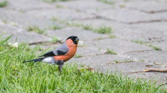 Időjárás: Porzik az Alföld, sárban úszik a Dunántúl