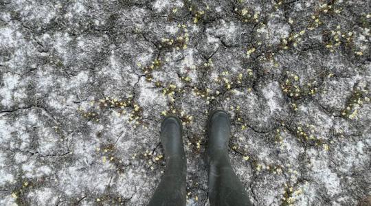 Rosszabb lehet, mint 2022: Súlyos aszály szorításában az ország