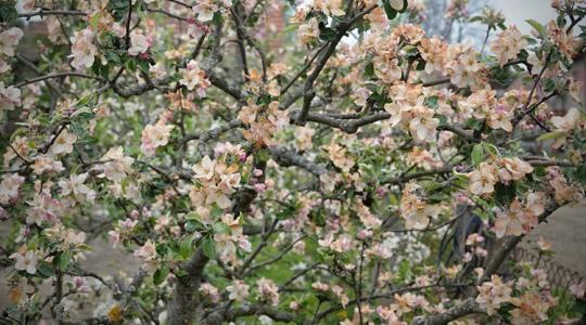 Rendkívüli támogatás érkezik 5000 gazdához