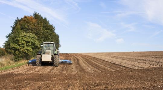 Időjárás: Veszélyes kettősség jön, 20 fokos tavaszra éjszakai fagy