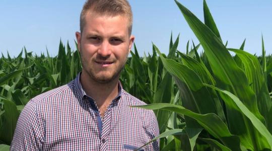 Nulla termés vagy rekordhozam? A győztes kukoricatermelő szerint a víz az egyetlen esély