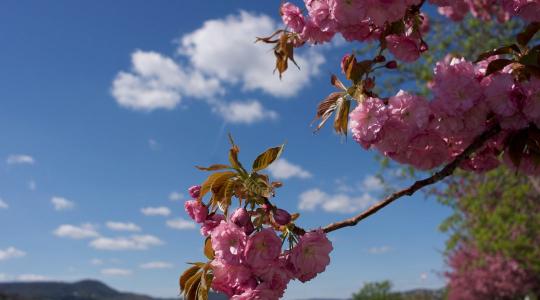 Időjárás: enyhe és száraz légtömeg érkezik fölénk + VIDEÓ