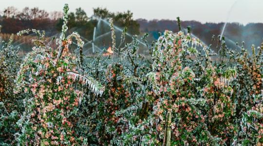 48 óránk van felkészülni: érkezik a gazdák rémálma
