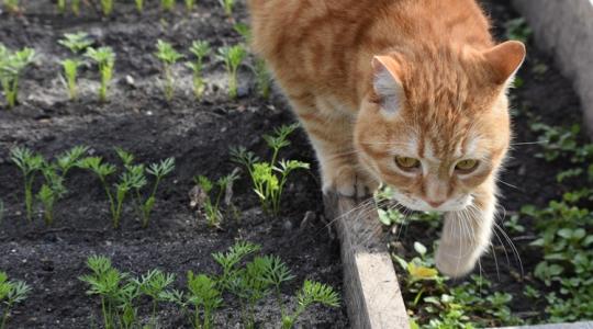 Időjárás: Most kell rákapcsolni, még ideális az idő a tavaszi munkákhoz