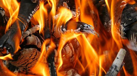 Kétszer annyi fát égetünk, mint amennyi újratermelődik: fenntarthatatlan a magyar tűzifapiac