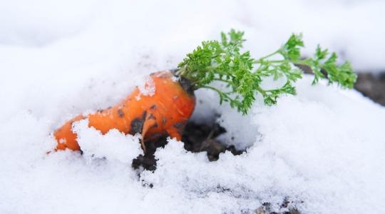 Kezdődik a vetési szezon – ezekre a hibákra figyelj oda!