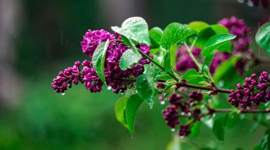 Meglepő fordulatot tartogat a májusi időjárás