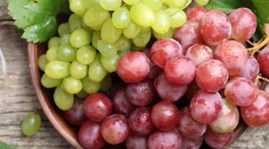 Ezer kilométerekről hozunk be csemegeszőlőt; lehetne másképp