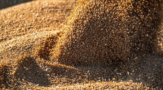 Az USA-ban már elindult az, amire minden magyar gazda vár