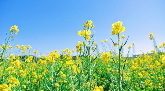 Időjárás: Kettészakad az ország, pár csepp esőben reménykedhetünk