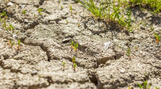 3 napos előrejelzés: Elül a szél, kisüt a nap, de elég ez nekünk?