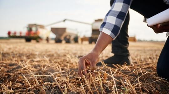 Mennyibe kerül a termőföld az EU-ban, és hol tart Magyarország?