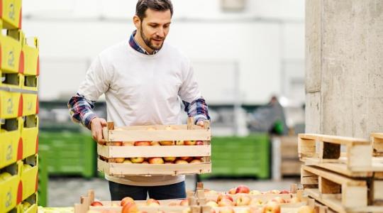 Ez életmentő lehet a magyar gazdáknak: ingyenes exportsegítség érkezett