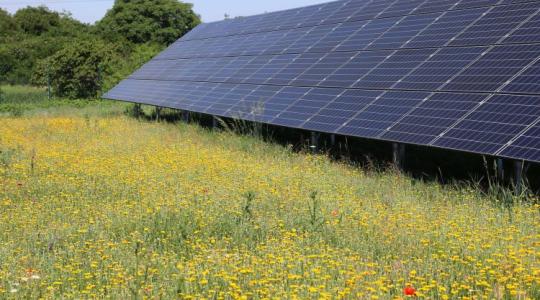 Tudtad? Így a gazdák is nyerhetnek a napelemparkokon