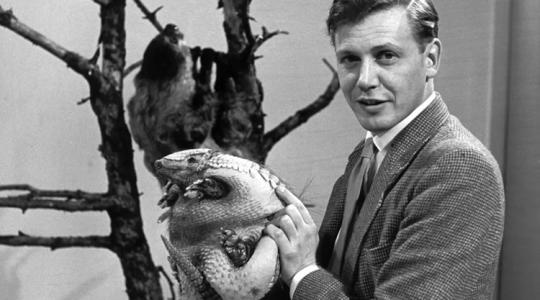 Üreges műökör és kötéltechnika: így fotózott a vadonban a 100 éves Sir David Attenborough mentora