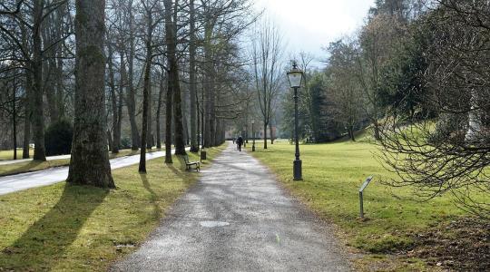 Stresszspirálban a városi növények
