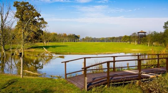 Szigorú szabályok jöhetnek a Natura 2000-es földekre – így szólhatsz bele!