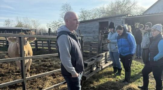 Hobbitanyából prémium tenyészet – a Blonde Tanyán nem a mennyiség, hanem a genetika a jelszó