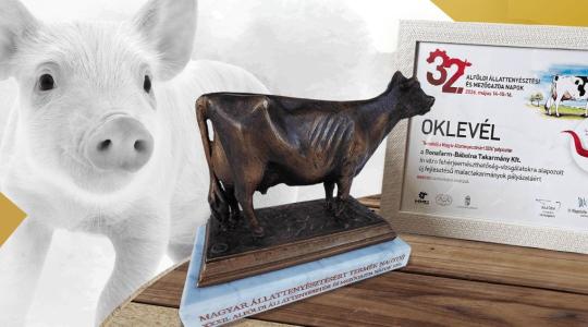 Bonafarm-Bábolna Takarmány Kft.: Nagydíjas takarmányozási innovációt mutattak be Hódmezővásárhelyen! + VIDEÓ