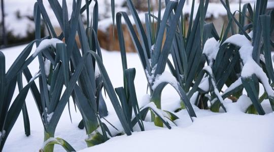 Tudd meg, milyen időjárás várható februárban!