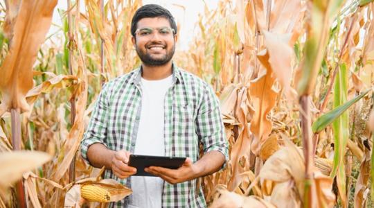 India átugrik egy lépcsőt és az élre tör az agrártechnológiában