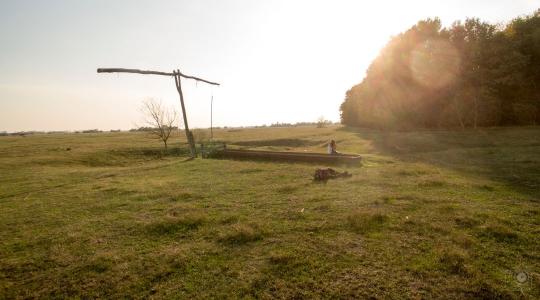 Európa aszály-válságövezetévé vált az Alföld: Drasztikus földhasználat-váltást sürgetnek a kutatók