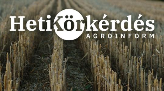 Melyek a szakszerű szárbontás kritériumai? – Heti Körkérdés