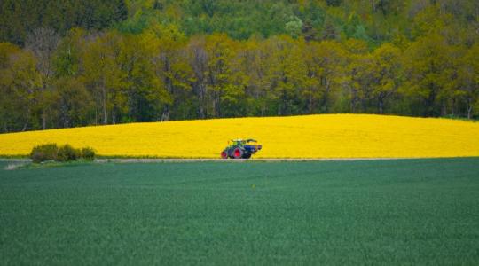 Kijózanító elemzés: Miért nem működik már az agrárium?