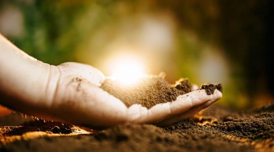 SOILATHON innovációs verseny: megoldások a talaj szénvesztésére
