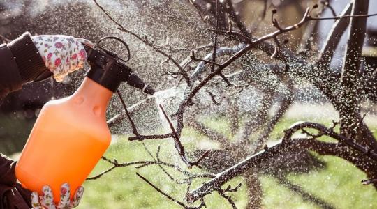 Vigyázz! A termésed látja kárát, ha ezt rosszul csinálod!