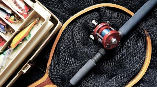 Újabb szigorítások a Balatonnál: hónapokra tiltólistára kerültek ezek a halak