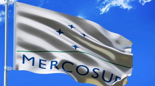 Zöld utat kaptak a Mercosur-védzáradékok az EP-ben