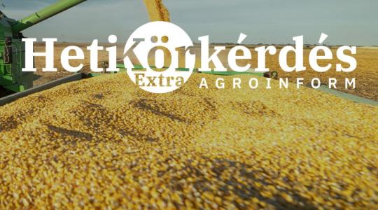 Pótkocsik: a logisztika hősei – Heti Körkérdés Extra