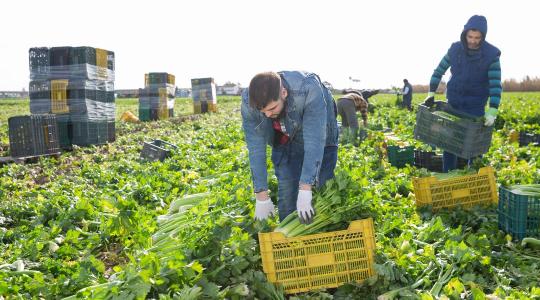 Péntektől lépett életbe a tiltás, ami teljesen átírhatja a nyári mezőgazdasági szezont